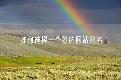 如何选择一个好的网站起名(图1)