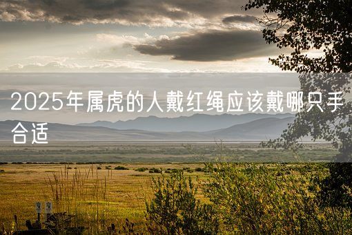 2025年属虎的人戴红绳应该戴哪只手合适(图1)