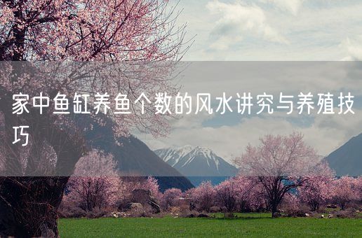 家中鱼缸养鱼个数的风水讲究与养殖技巧(图1)