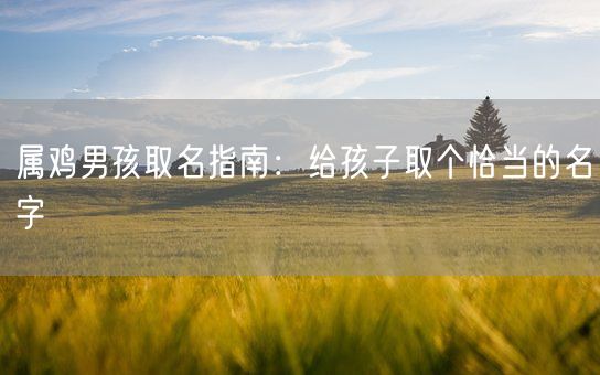 属鸡男孩取名指南：给孩子取个恰当的名字(图1)