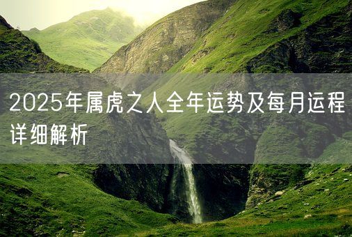 2025年属虎之人全年运势及每月运程详细解析(图1)