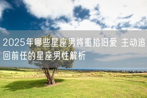 2025年哪些星座男将重拾旧爱 主动追回前任的星座男性解析(图1)