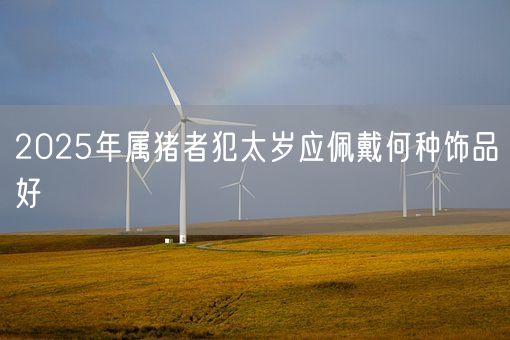 2025年属猪者犯太岁应佩戴何种饰品好(图1)