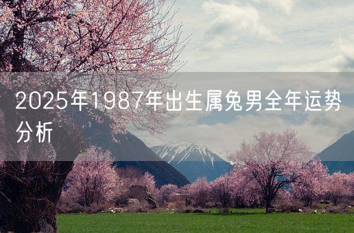 2025年1987年出生属兔男全年运势分析(图1)
