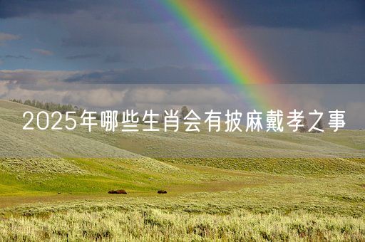 2025年哪些生肖会有披麻戴孝之事(图1)