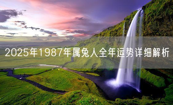 2025年1987年属兔人全年运势详细解析(图1)