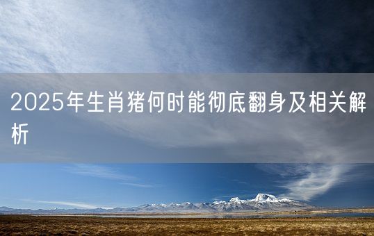 2025年生肖猪何时能彻底翻身及相关解析(图1)