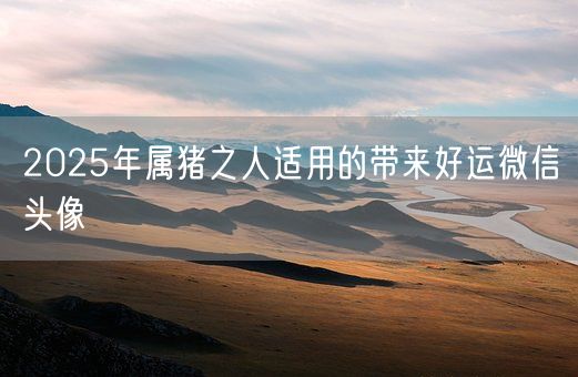 2025年属猪之人适用的带来好运微信头像(图1)