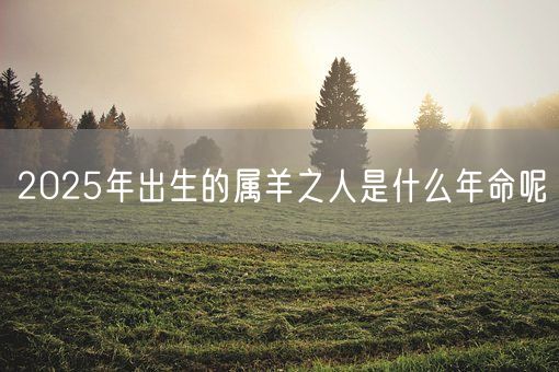 2025年出生的属羊之人是什么年命呢(图1)