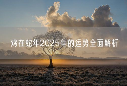 鸡在蛇年2025年的运势全面解析(图1)