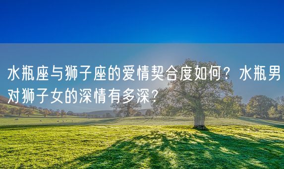 水瓶座与狮子座的爱情契合度如何？水瓶男对狮子女的深情有多深？(图1)