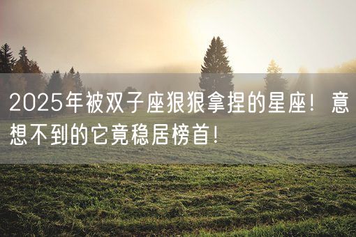 2025年被双子座狠狠拿捏的星座！意想不到的它竟稳居榜首！(图1)