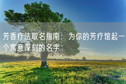芳香疗法取名指南:为你的芳疗馆起一个寓意深刻的名字(图1) 芳香疗法取名指南:为你的芳疗馆起一个寓意深刻的名字(图1)