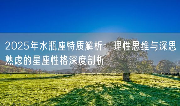 2025年水瓶座特质解析：理性思维与深思熟虑的星座性格深度剖析(图1)
