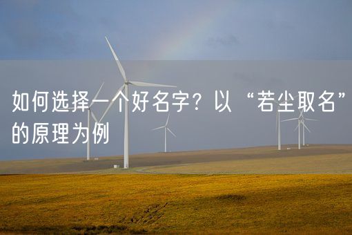 如何选择一个好名字?以“若尘取名”的原理为例(图1) 如何选择一个好名字?以“若尘取名”的原理为例(图1)