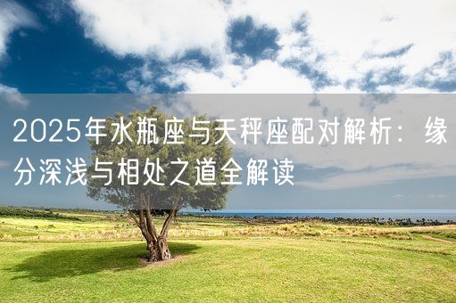 2025年水瓶座与天秤座配对解析：缘分深浅与相处之道全解读(图1)