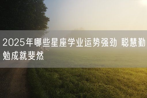 2025年哪些星座学业运势强劲 聪慧勤勉成就斐然(图1)
