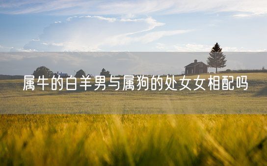 属牛的白羊男与属狗的处女女相配吗(图1)