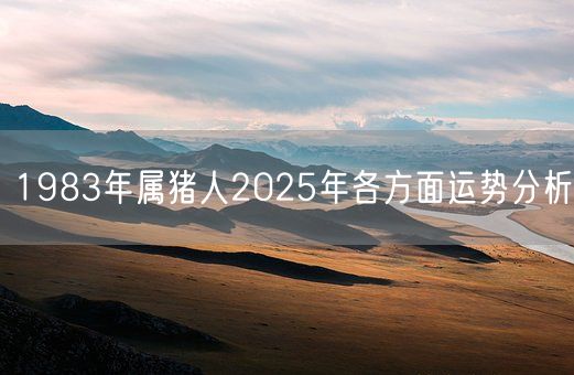 1983年属猪人2025年各方面运势分析(图1)