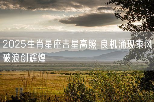 2025生肖星座吉星高照 良机涌现乘风破浪创辉煌(图1)