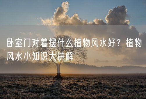 卧室门对着摆什么植物风水好？植物风水小知识大讲解(图1)