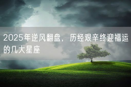 2025年逆风翻盘，历经艰辛终迎福运的几大星座(图1)