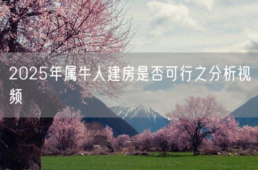 2025年属牛人建房是否可行之分析视频(图1)