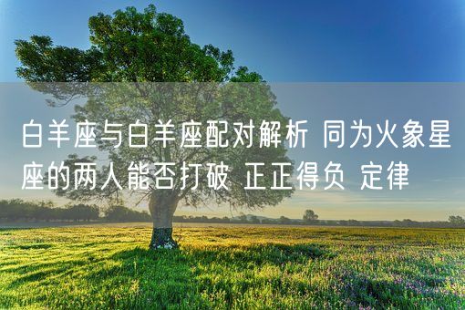 白羊座与白羊座配对解析 同为火象星座的两人能否打破 正正得负 定律(图1)