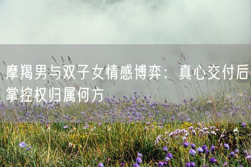 摩羯男与双子女情感博弈：真心交付后掌控权归属何方(图1)