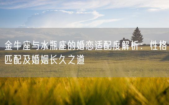 金牛座与水瓶座的婚恋适配度解析:性格匹配及婚姻长久之道(图1) 金牛座与水瓶座的婚恋适配度解析:性格匹配及婚姻长久之道(图1)