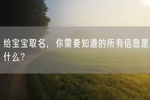 给宝宝取名，你需要知道的所有信息是什么？(图1)