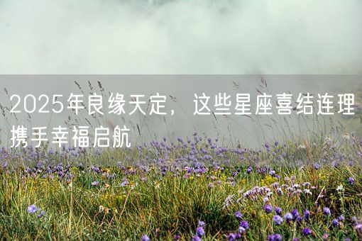 2025年良缘天定，这些星座喜结连理携手幸福启航(图1)