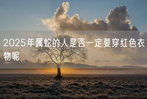 2025年属蛇的人是否一定要穿红色衣物呢(图1)