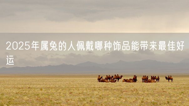 2025年属兔的人佩戴哪种饰品能带来最佳好运(图1)