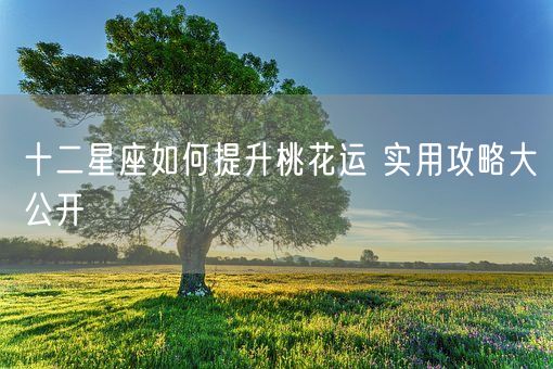 十二星座如何提升桃花运 实用攻略大公开(图1)