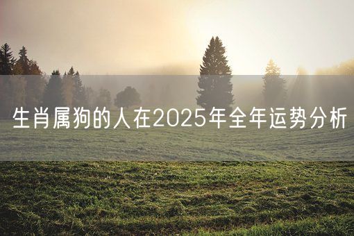 生肖属狗的人在2025年全年运势分析(图1)