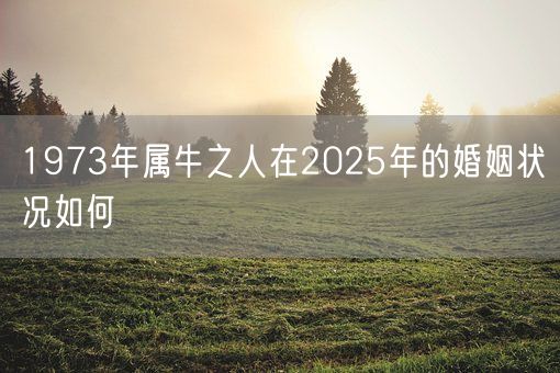 1973年属牛之人在2025年的婚姻状况如何(图1)