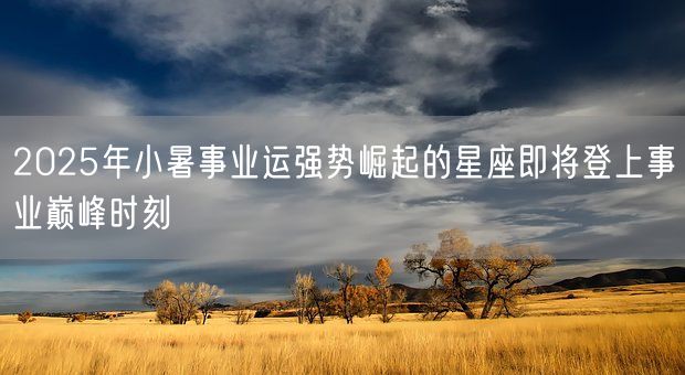 2025年小暑事业运强势崛起的星座即将登上事业巅峰时刻(图1)