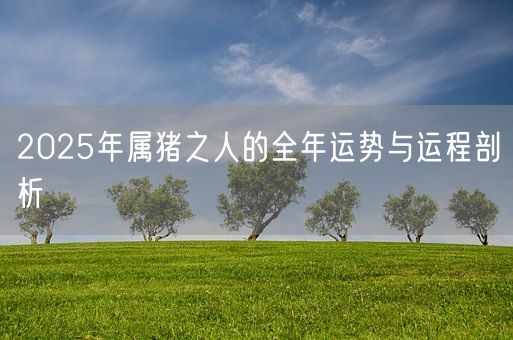 2025年属猪之人的全年运势与运程剖析(图1)