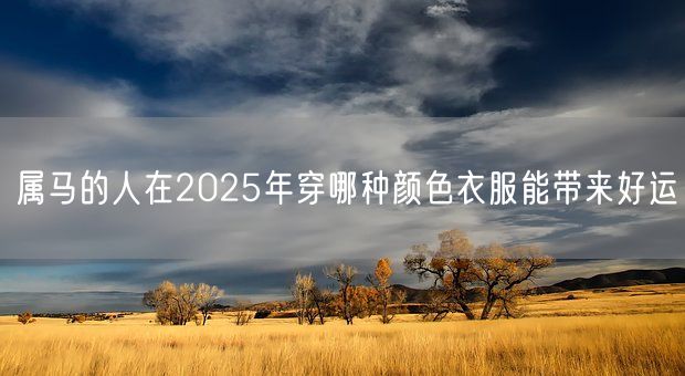 属马的人在2025年穿哪种颜色衣服能带来好运(图1)