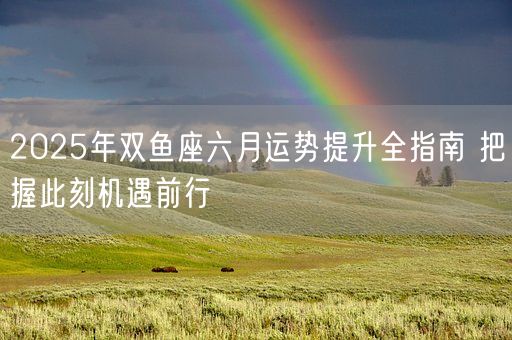 2025年双鱼座六月运势提升全指南 把握此刻机遇前行(图1)