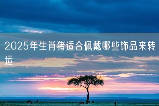 2025年生肖猪适合佩戴哪些饰品来转运(图1)