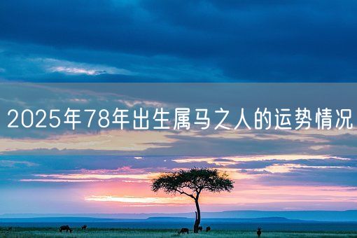 2025年78年出生属马之人的运势情况(图1)