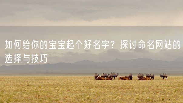 如何给你的宝宝起个好名字？探讨命名网站的选择与技巧(图1)