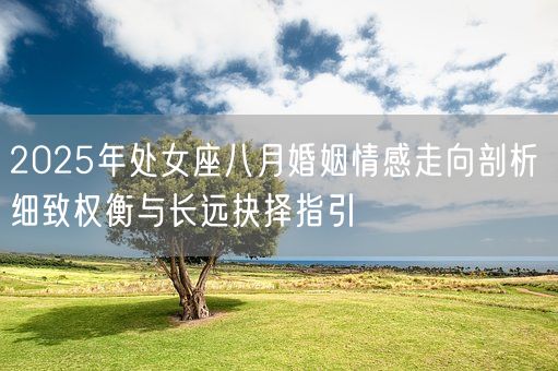 2025年处女座八月婚姻情感走向剖析 细致权衡与长远抉择指引(图1)