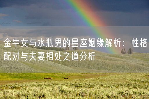 金牛女与水瓶男的星座姻缘解析：性格配对与夫妻相处之道分析(图1)