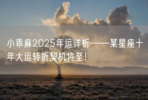 小乖麻2025年运详析——某星座十年大运转折契机将至！(图1)