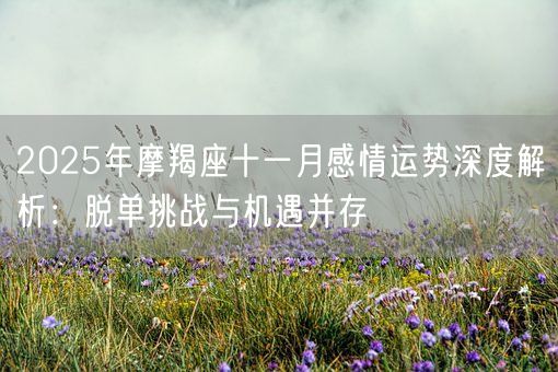 2025年摩羯座十一月感情运势深度解析：脱单挑战与机遇并存(图1)