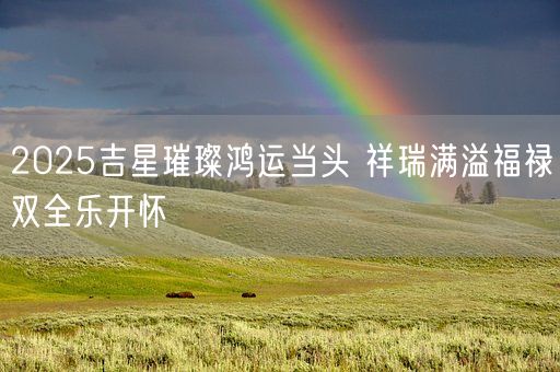 2025吉星璀璨鸿运当头 祥瑞满溢福禄双全乐开怀(图1)