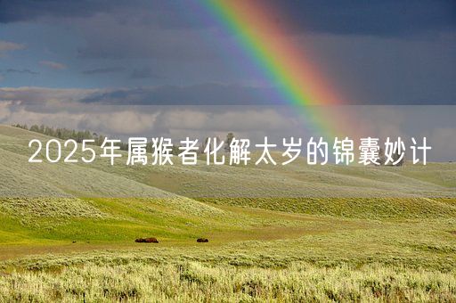 2025年属猴者化解太岁的锦囊妙计(图1)